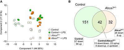 ABCA7 Regulates Brain Fatty Acid Metabolism During LPS-Induced Acute Inflammation